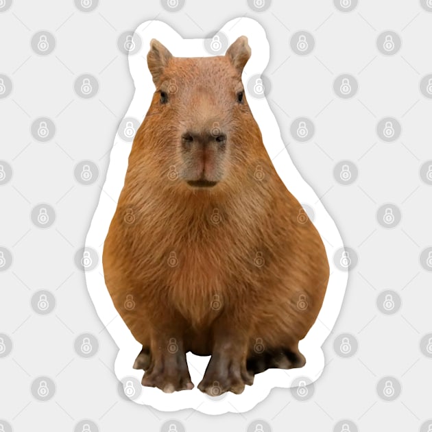Capybara Sticker by xesed